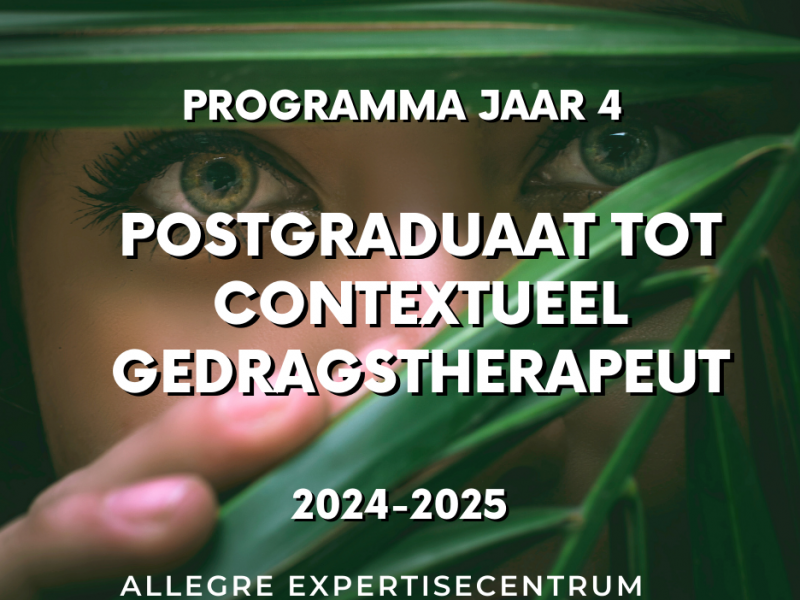 4-jarig Postgraduaat tot Contextuele Gedragstherapeut 2024-2025 - Programma jaar 3 & 4