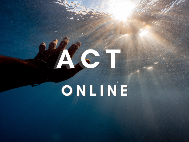 Online ACT sessies